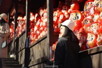 Bí ẩn nơi lưu giữ hàng nghìn búp bê cầu may Daruma