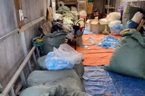 Hãi hùng thu gom khẩu trang đã sử dụng để tái chế mang đi tiêu thụ