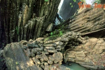 Kỳ thú “Gành Đá Đĩa” bên thác nước nổi tiếng Tây Nguyên