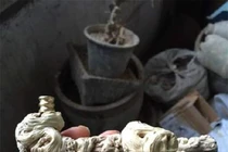 Nhặt được khúc gỗ xấu xí, ai ngờ là báu vật vô giá