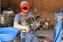 Chi 36 triệu mua cặp tôm hùm bông khổng lồ thưởng thức 