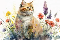 Kết hôn với 4 con giáp nữ này cả đời không lo nghèo đói