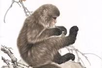 Từ 10/3, 3 con giáp vận đen bủa vây, hóa giải thế nào?