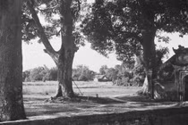 Loạt ảnh hiếm về chùa Láng của Hà Nội năm 1952