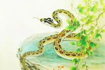 Mùng 9, 10, 11, 12 tháng 4, 3 con giáp làm ăn trúng lớn