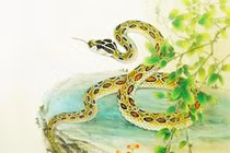 Mùng 9, 10, 11, 12 tháng 4, 3 con giáp làm ăn trúng lớn