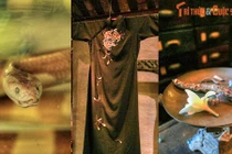 Khám phá bí ẩn bên trong những bảo tàng kỳ lạ nhất VN 