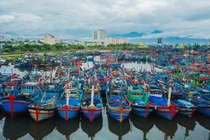 Cảng cá lớn nhất Đà Nẵng có thêm 20 ca dương tính với nCoV