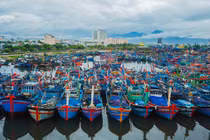 Cảng cá lớn nhất Đà Nẵng có thêm 20 ca dương tính với nCoV