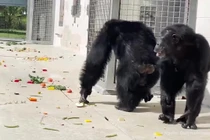 Vỡ oà khi lần đầu nhìn thấy bầu trời sau 29 năm