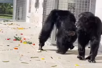 Vỡ oà khi lần đầu nhìn thấy bầu trời sau 29 năm