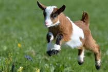 Cuối năm 2024: 4 tuổi công danh thần tốc, mỏi tay đếm tiền