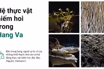 Những viên ngọc ẩn giấu của Việt Nam: 10 địa điểm chờ khám phá