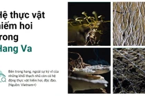 Những viên ngọc ẩn giấu của Việt Nam: 10 địa điểm chờ khám phá