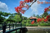 Lặng ngắm phong cảnh tuyệt vời của mảnh đất Đồng Tháp