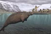 Loạt động vật tuyệt chủng 'đau đớn' do tác động của con người 