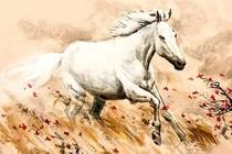 Nửa đầu tháng 10 dương, 3 tuổi phất lên như diều gặp gió