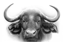 3 con giáp Thần Tài gọi tên, 10 ngày đầu tháng 5 âm cực giàu