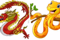 Tuần mới (30/5-5/6): 2 con giáp may mắn ngập tràn, 2 con giáp xui tận mạng