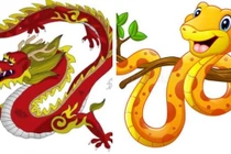 Tuần mới (30/5-5/6): 2 con giáp may mắn ngập tràn, 2 con giáp xui tận mạng