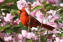 Thông minh, nhanh nhạy, người sinh ngày Âm lịch này tự kiếm tiền tỷ 