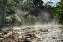 Khiếp đảm 'dòng sông sôi' có thể luộc chín sinh vật tại rừng Amazon