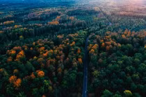 Lạc lối trong khu rừng huyền bí và quyến rũ nhất thế giới