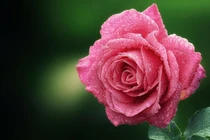 Vàng luôn tỏa sáng: Người sinh ngày Âm này cuối đời vinh hiển 