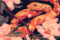 45 ngày tới, Thần Tài chiếu mệnh, 3 con giáp tiền tài phủ phê