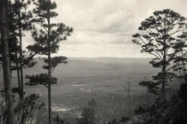 Ngắm phong cảnh hoang sơ trên đường đi Đà Lạt năm 1934