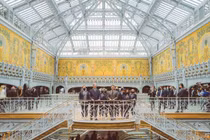 Chi 835 triệu USD tân trang cửa hàng bách hóa