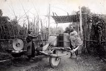 Ảnh không đụng hàng về xe rùa ở Việt Nam 100 năm trước 