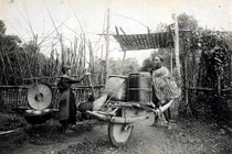 Ảnh không đụng hàng về xe rùa ở Việt Nam 100 năm trước 