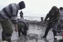 Video: Kỳ lạ voi ma mút 10.000 tuổi còn nguyên gân và lớp da 