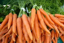 4 sai lầm khi ăn cà rốt, cái sai thứ 4 mới đáng giật mình