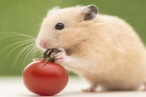 3 con giáp giàu có nhất tháng 6, tiền nhiều không đếm xuể