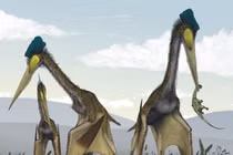 Khiếp đảm loài vật lớn nhất từng bay trên trời