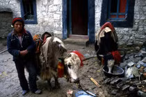 Xứ sở Tây Tạng năm 1987 đặc sắc qua ống kính John Mawer (2)