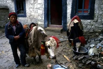 Xứ sở Tây Tạng năm 1987 đặc sắc qua ống kính John Mawer (2)