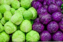 Vì sao bắp cải được coi là "kho thuốc" của người nghèo?