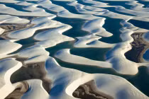 Trái ngược với Sahara, sa mạc kỳ dị có cá sống được trong cát