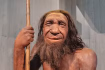 Điều gì xảy ra nếu loài người Neanderthal tồn tại đến ngày nay?