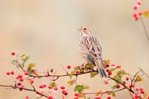 Người sinh vào tháng Âm này dễ gặp quý nhân, kiếm tiền không khó