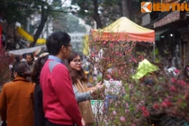 Bí mật lịch sử chưa một lần hé lộ về chợ hoa Hàng Lược 