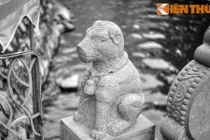 Chuyện lạ về tục thờ chó đá có 1-0-2 thế giới của người Việt 