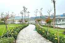 Đô thị Sun Group Hà Nam: Sắp vận hành công viên, bàn giao nhà