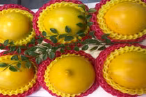 Vú sữa vàng 350.000 đồng một quả, bà nội trợ vẫn mua 