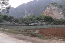 Hai cháu bé trong một gia đình bị giết hại dã man