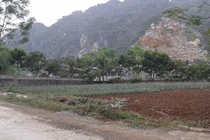 Hai cháu bé trong một gia đình bị giết hại dã man