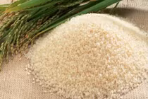 Nguy hiểm chết người gì đợi bạn khi ăn phải gạo biến màu